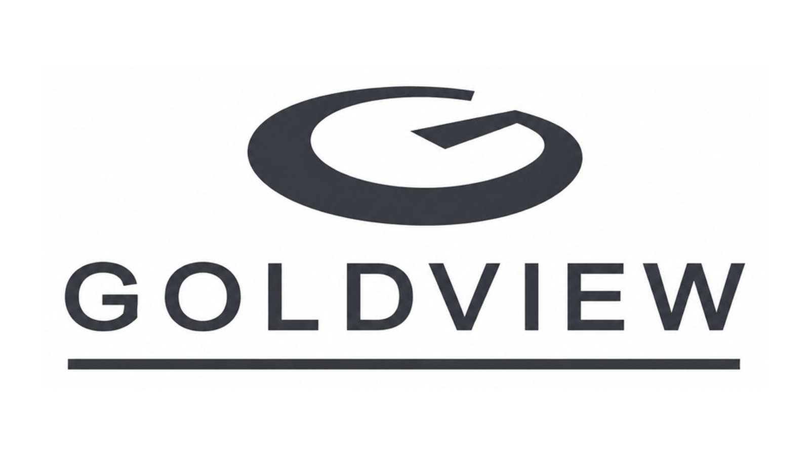 Black, stylized letter G above the word GOLDVIEW in bold, capital letters with a black line underneath, all on a white background—reflecting a trusted standard for roof repair services.