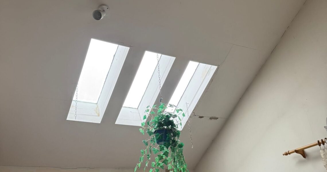 A hanging plant is suspended from a slanted ceiling with three skylights above a cluttered office or study filled with books, papers, and shelves.